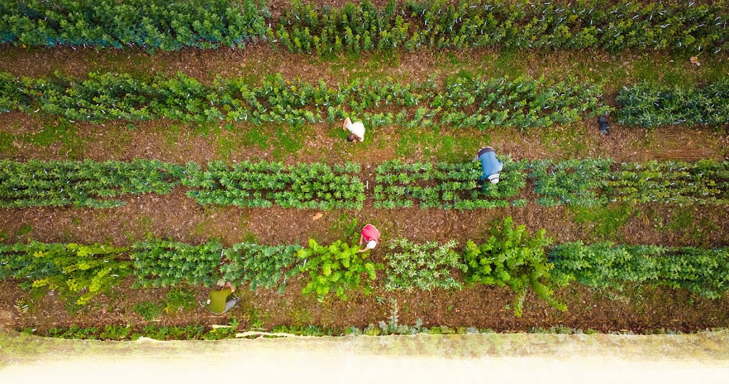Hardy Fruit Tree Nursery | 5094 QC-125, Rawdon, QC J0K 1S0, Canada | Phone: (514) 418-4109
