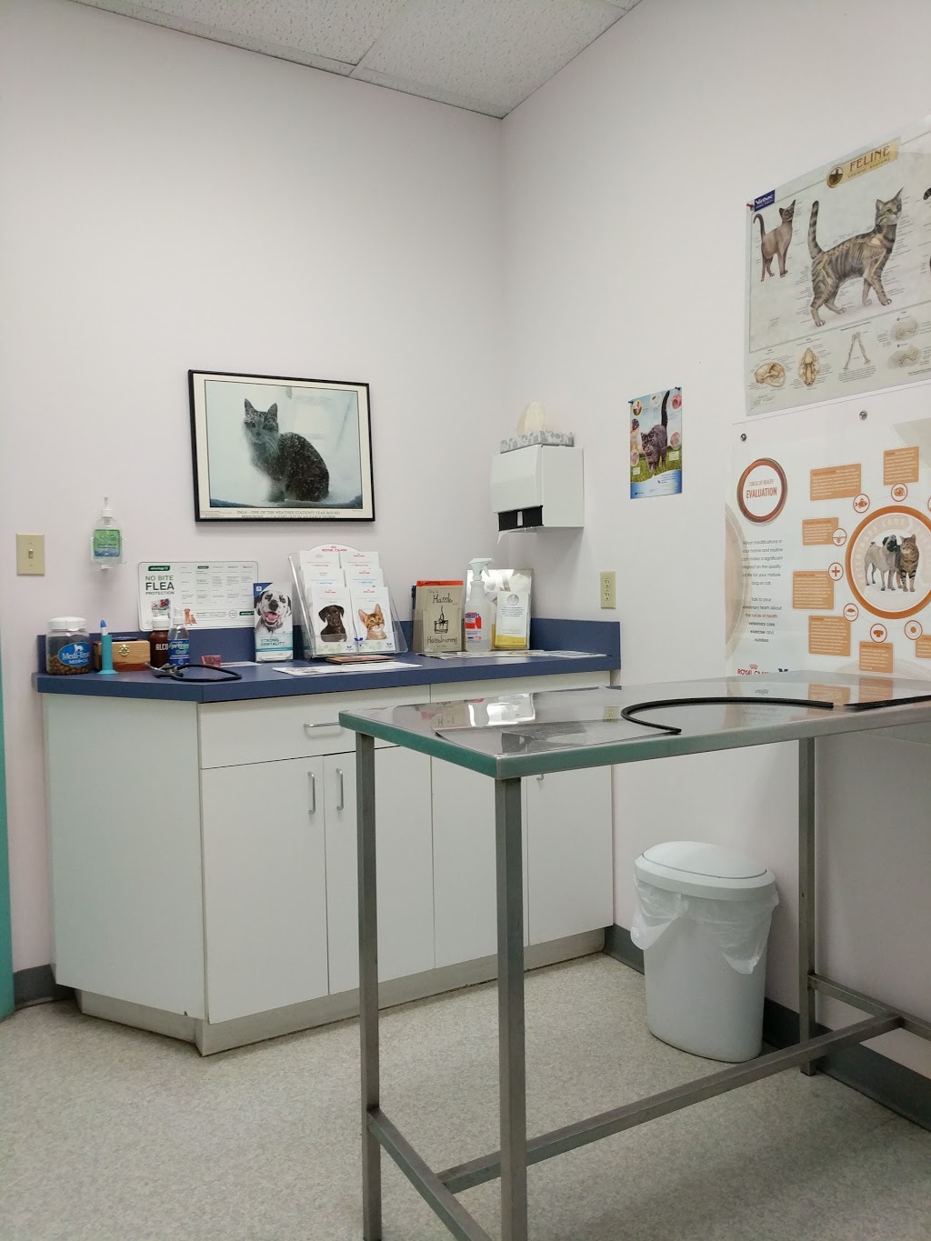 Southmount Animal Hospital | 1400 Upper James St #14, Hamilton, ON L9B 1K3, Canada | Phone: (905) 387-7387