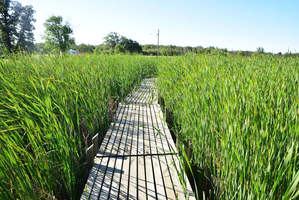 Cypress River Millennium Park | MB-2, Cypress River, MB R0K 0P0, Canada | Phone: (204) 786-2688