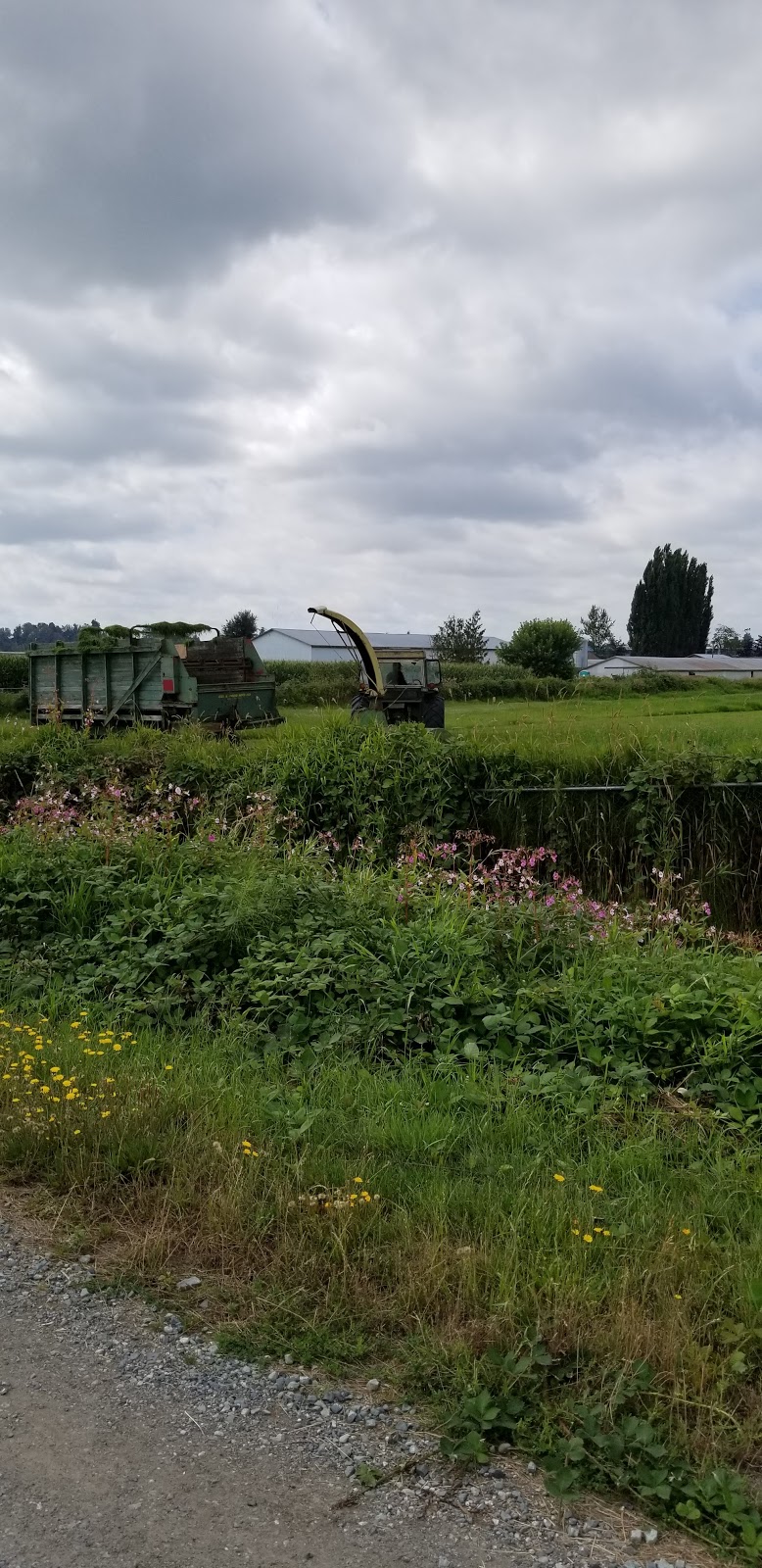 Stillwater Farms | 34810 Vye Rd, Abbotsford, BC V2S 7P7, Canada | Phone: (604) 855-9405