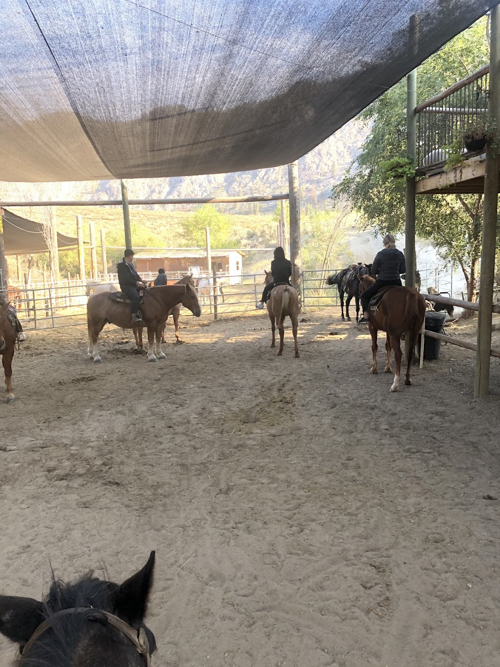 Indian Grove Riding Stables | 600 Rancher Creek Rd, Osoyoos, BC V0H 1V6, Canada | Phone: (250) 495-7555