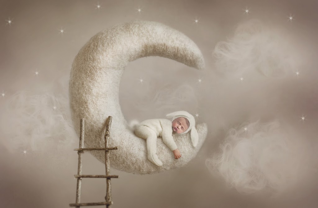 Rebekah Anne Photography | 351 Rock Chapel Rd, Dundas, ON L9H 5E2, Canada | Phone: (905) 407-0524