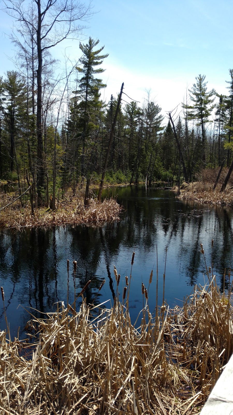 Parc régional des Grèves | 10350 Rte Marie-Victorin, Contrecoeur, QC J0L 1C0, Canada | Phone: (450) 742-4767