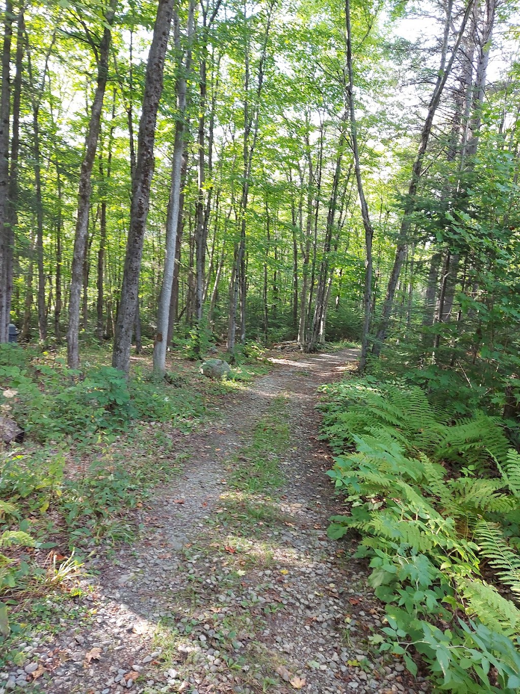 Association de pêche du Lac Boston | 511 5e Rang N, East Broughton, QC G0N 1G0, Canada | Phone: (418) 427-3658