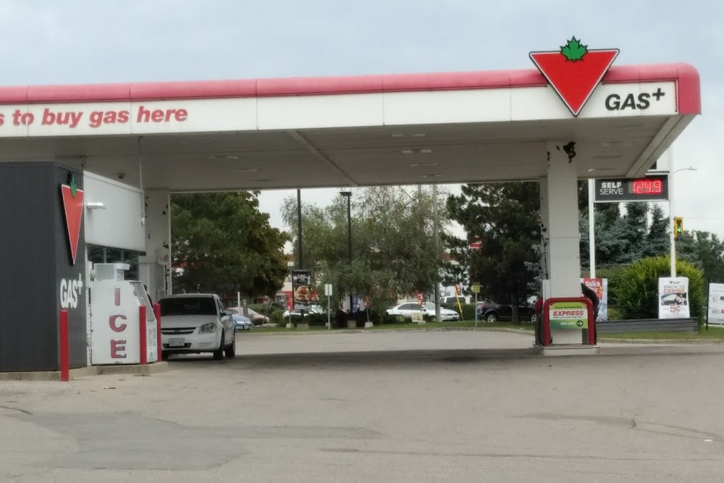 Canadian Tire - Cambridge, ON | 75 Dundas Street Highland Shopping Centre, Cambridge, ON N1R 6G5, Canada | Phone: (519) 621-8180