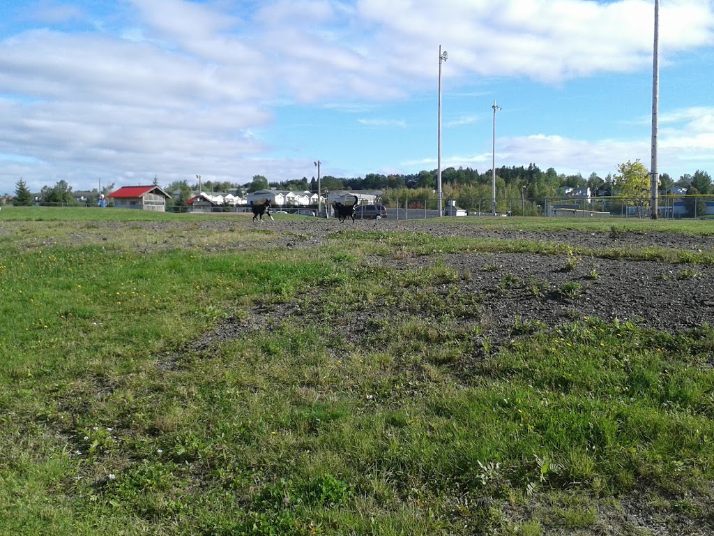 Isaacs Run Dog Park | 199 Lakeside Dr, Riverview, NB E1B, Canada | Phone: 387-2030