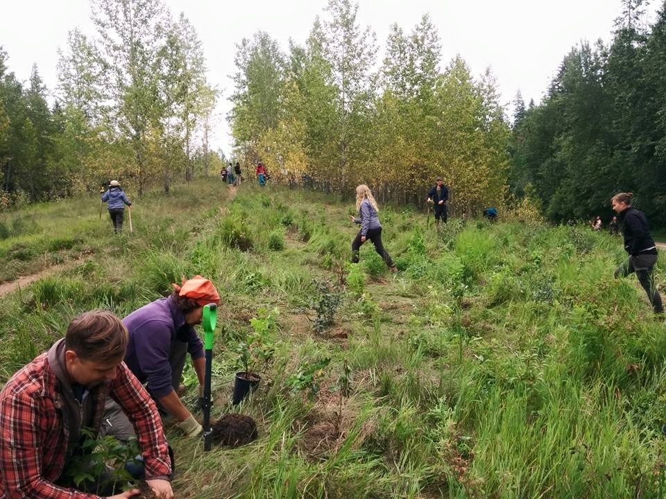 MacKinnon Food Forest | River Valley Capitol Hill, Edmonton, AB T5N 3M7, Canada