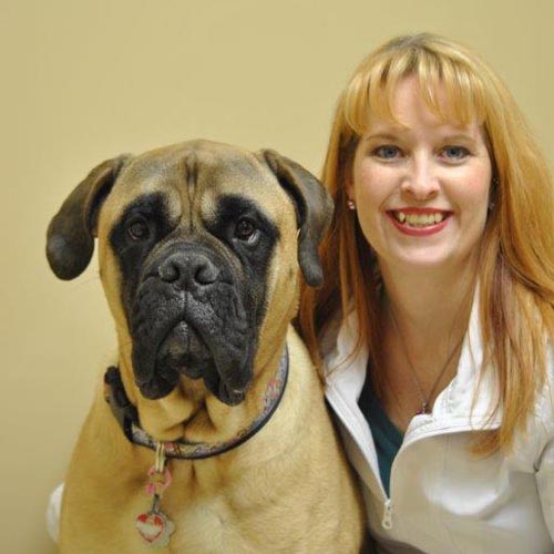 Niagara Canine Conditioning Centre | 5A-188 Bunting Rd, St. Catharines, ON L2M 3Y1, Canada | Phone: (289) 362-5900
