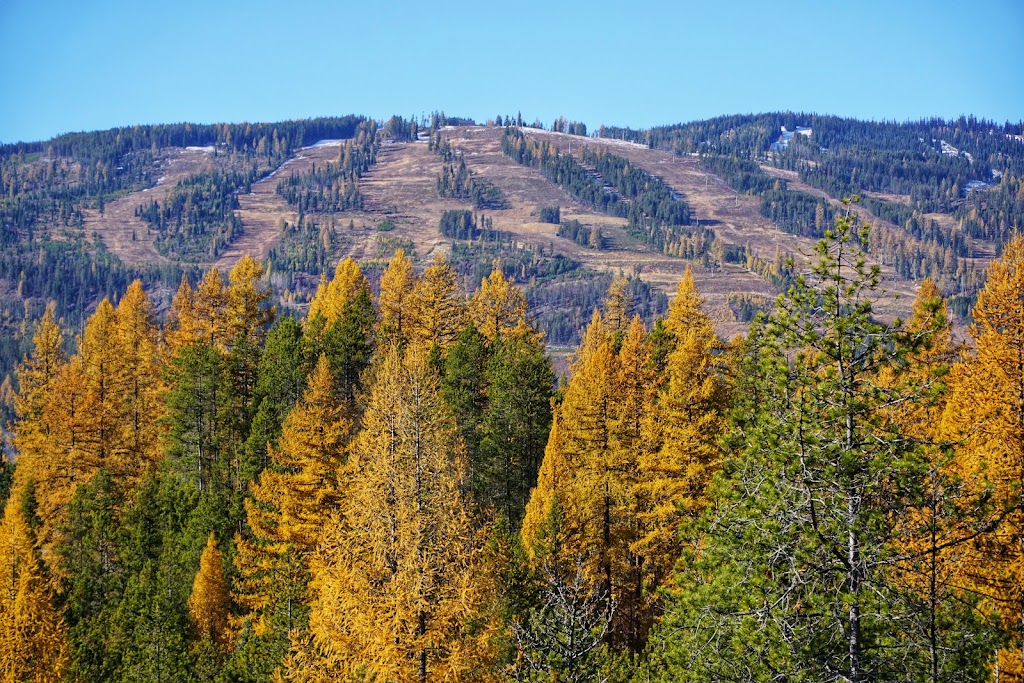 Kimberley Alpine Resort | 301 N Star Blvd, Kimberley, BC V1A 2Y5, Canada | Phone: (250) 427-4881