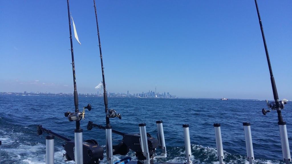 Square Tail Charters | 15 Front St S, Mississauga, ON L5H 2C4, Canada | Phone: (416) 616-4310