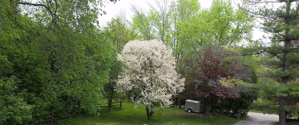 Spruce Hill Farm | 200 Spruce Hill Rd, King City, ON L7B 1A3, Canada | Phone: (416) 669-8765
