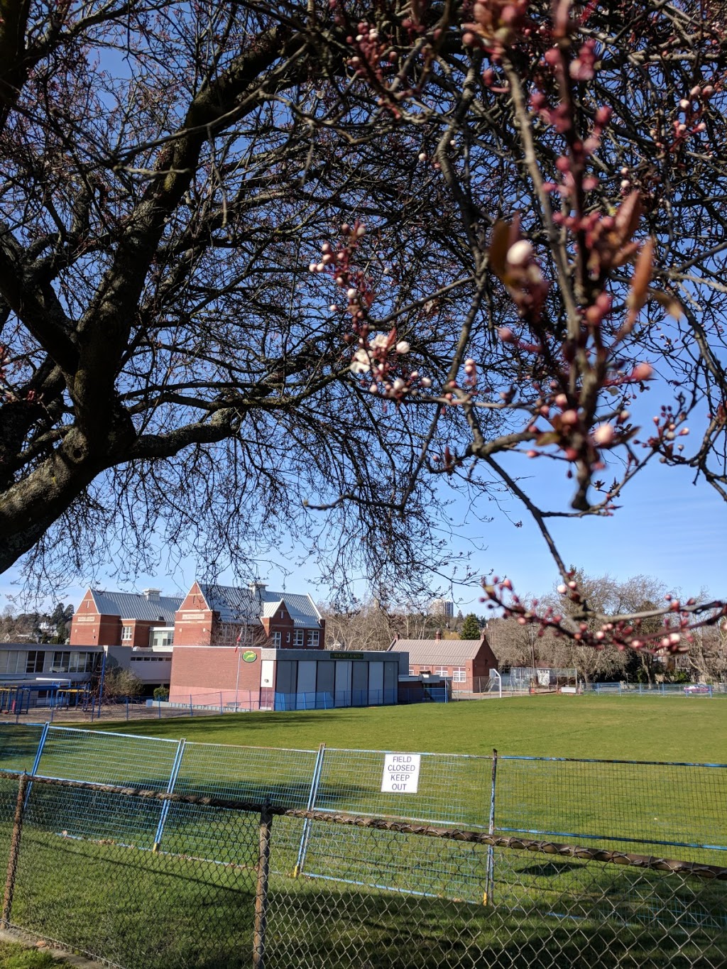 Margaret Jenkins Elementary | 1824 Fairfield Rd, Victoria, BC V8S 1G8, Canada | Phone: (250) 598-5191