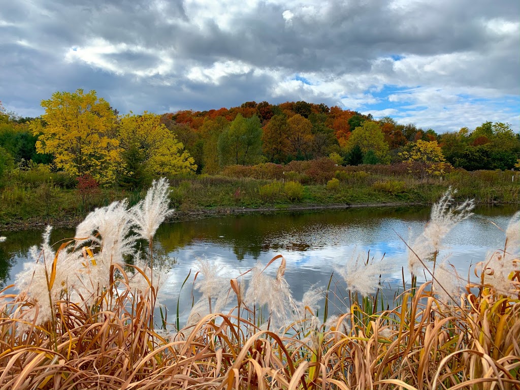Sheppards Bush Conservation Area | Industry St, Aurora, ON L4G 7B3, Canada | Phone: (905) 895-1281