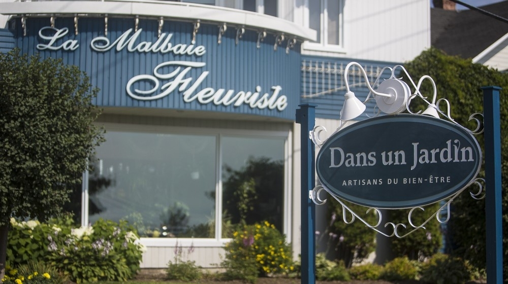 La Malbaie Fleuriste | 410 Rue St Étienne, La Malbaie, QC G5A 1S7, Canada | Phone: (418) 665-3355