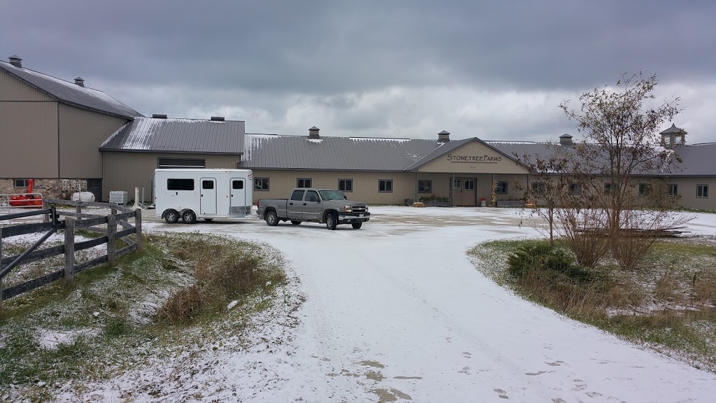 Stonetree Farms of Collingwood | 36, 37 Nottawa Side Rd E #6964, Stayner, ON L0M 1S0, Canada | Phone: (519) 240-1277