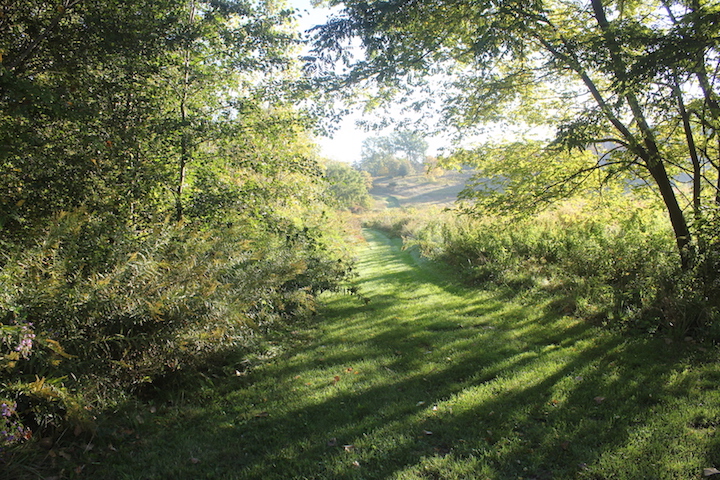 Stella Niagara Preserve | 4214-4448 Lower River Rd, Lewiston, NY 14092, USA | Phone: (716) 687-1225