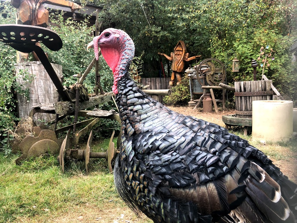North Island Wildlife Recovery Centre | 1240 Leffler Rd, Errington, BC V0R 1V0, Canada | Phone: (250) 248-8534