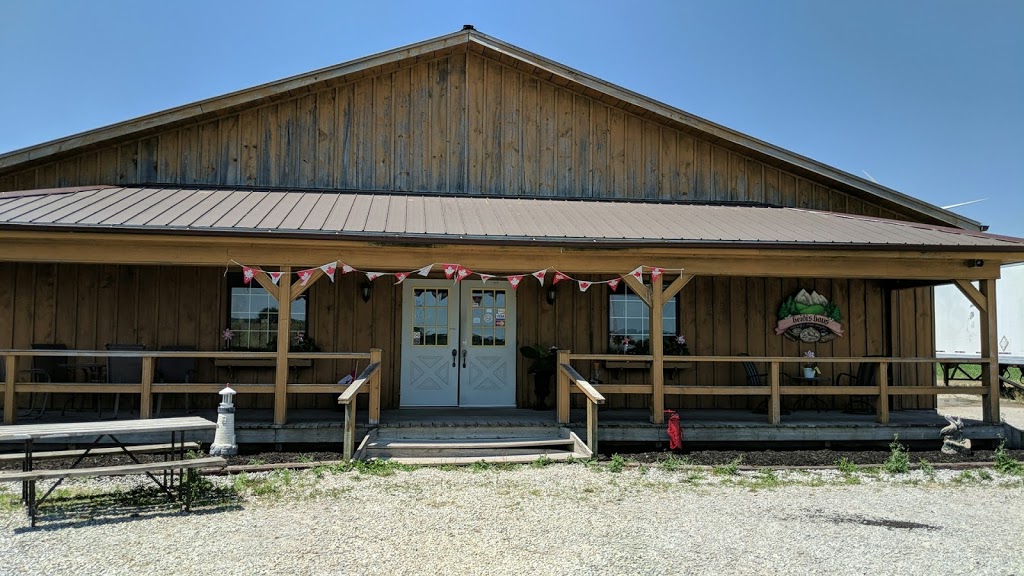Dockside Fisheries | 913 3rd Concession Line, Wheatley, ON N0P 2P0, Canada | Phone: (519) 825-3474
