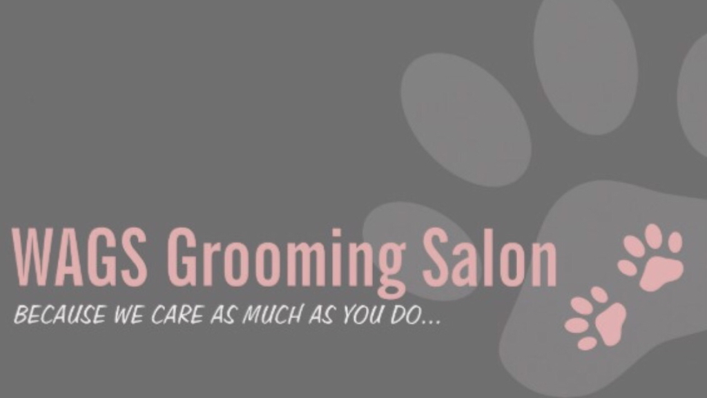Wags Grooming Salon | 6 Beatrice Ln, Barrie, ON L4M 7H2, Canada | Phone: (613) 242-8100