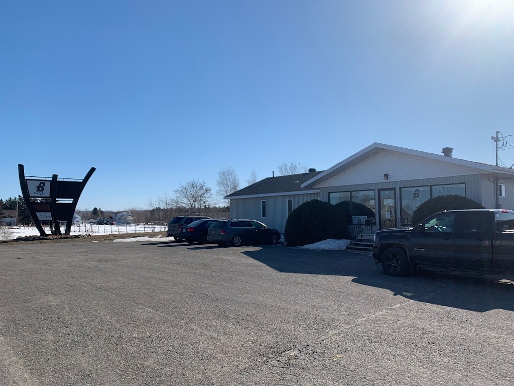 Multi-Services LD | 482 Bd Taché E, Montmagny, QC G5V 1E2, Canada | Phone: (418) 802-8061