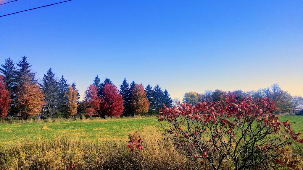 Rupert Hill | 124 Chem. Shouldice, Alcove, QC J0X 1A0, Canada | Phone: (819) 459-8622