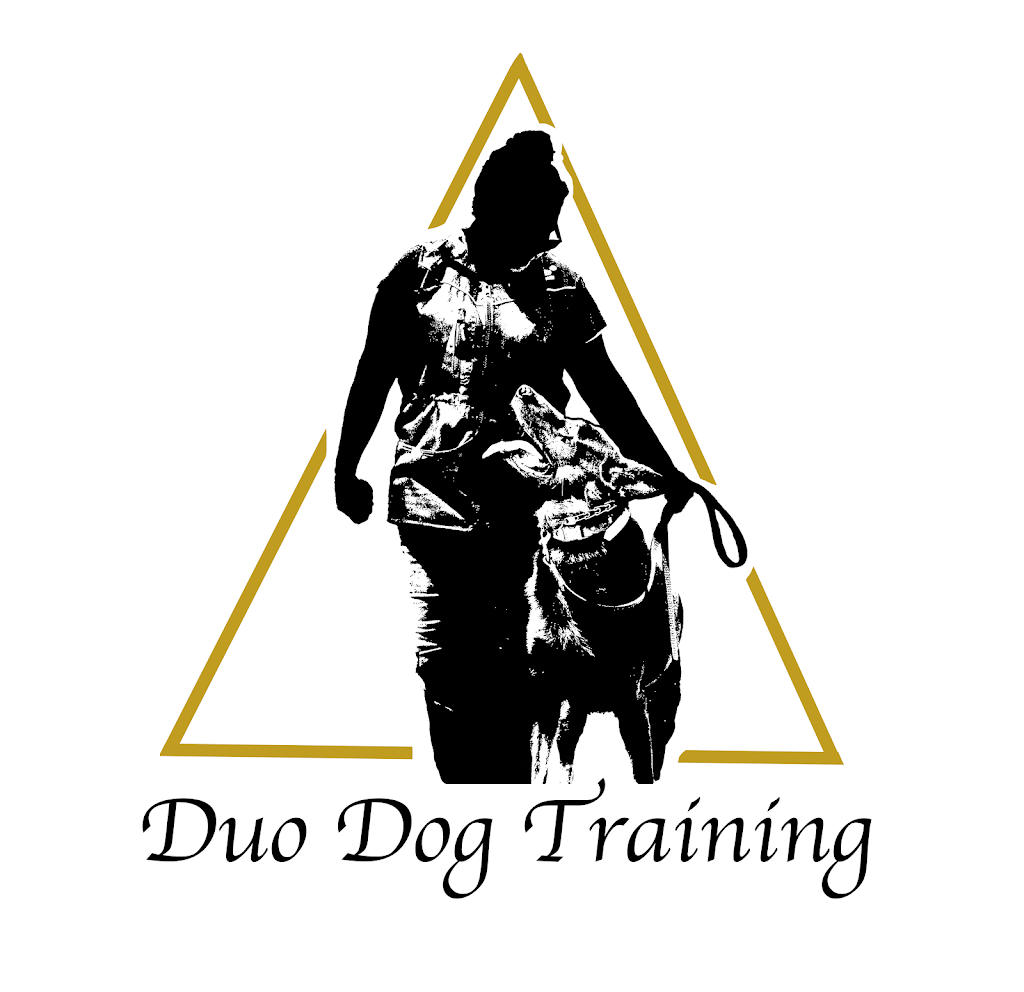 Duo Dog Training | 98 William St #208, Mississauga, ON L5M 1J5, Canada | Phone: (647) 219-5634