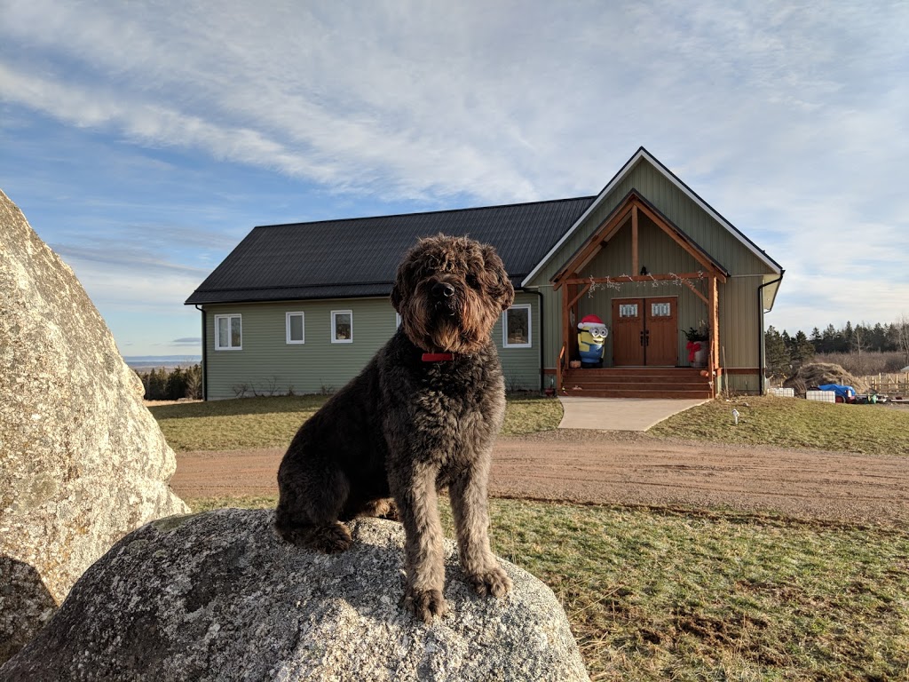 Robertsons farm | 754 Canaan Mountain Rd, Kentville, NS B4N 4K1, Canada | Phone: (902) 993-0059