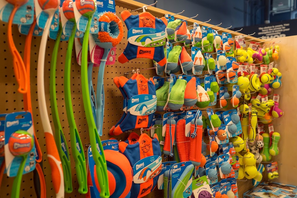 Pet Planet Royal Oak | 8650, 7131 112 Ave NW #7131, Calgary, AB T3R 0R5, Canada | Phone: (403) 263-3332