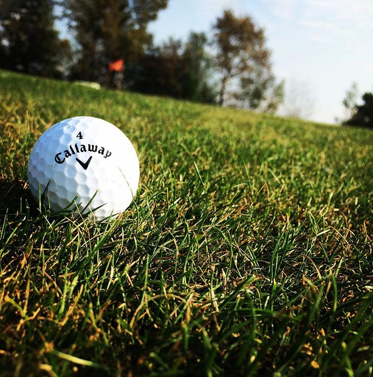 Meadow Land Golf Club | 373115 6 Line, Orangeville, ON L9W 0M4, Canada | Phone: (519) 942-1315