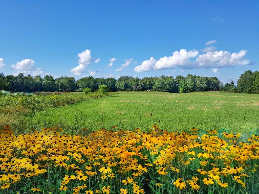Ferme La Généreuse | 540 Chemin Labonté, Cookshire-Eaton, QC J0B 1M0, Canada | Phone: (819) 875-5156