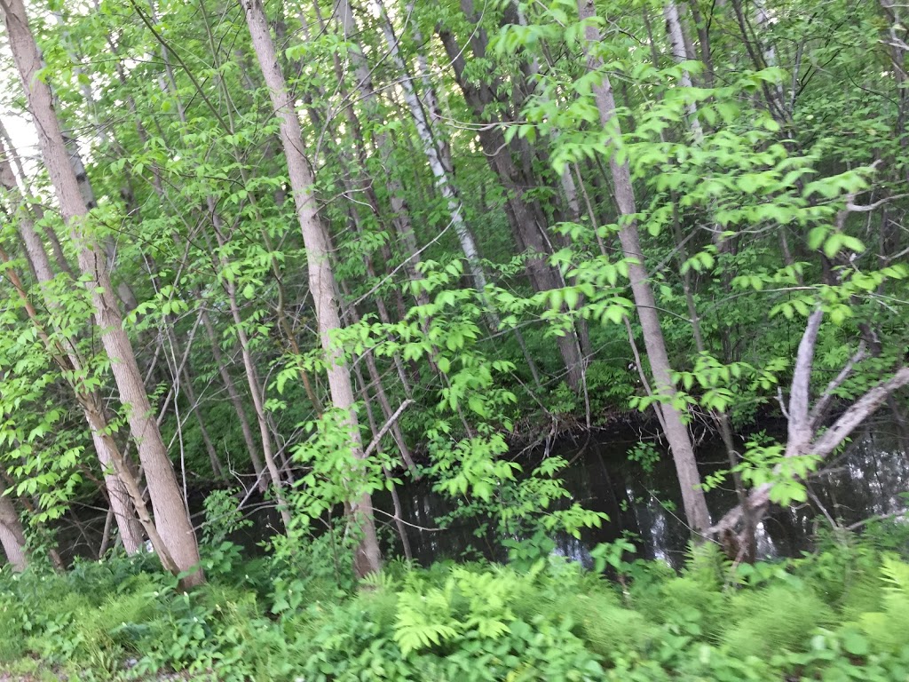 Tanners Park | 13 Acorn Ln, Victoria Harbour, ON L0K 2A0, Canada | Phone: (705) 534-7248