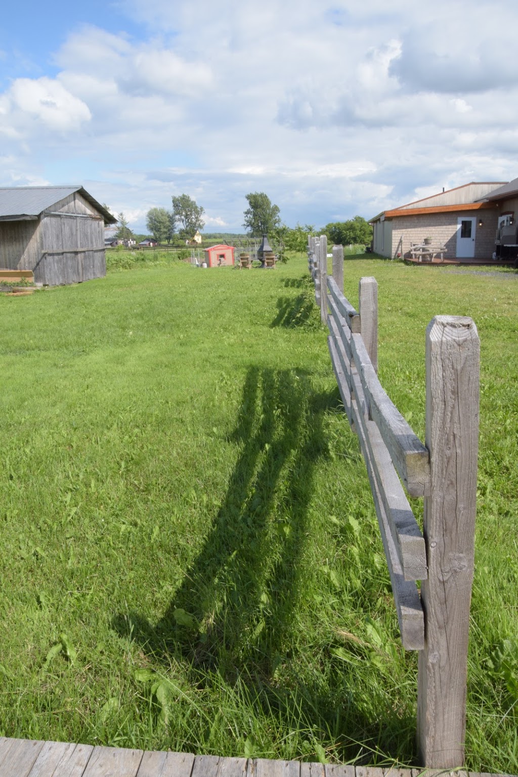 Domaine de lOie Toquée | 234 Quebec 116 E, Saint-Agapit, QC G0S 1Z0, Canada | Phone: (418) 261-2226