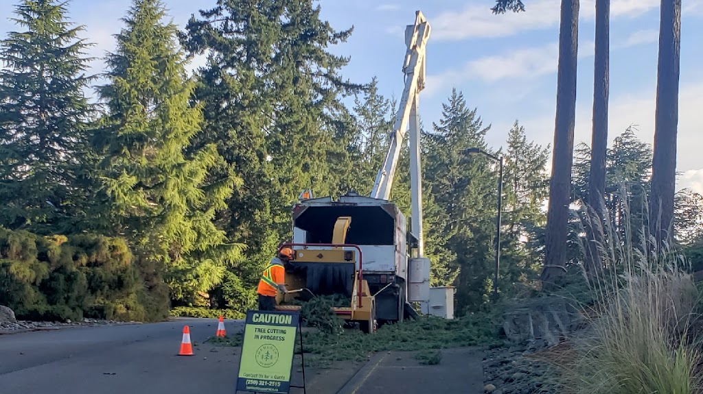 Hemlock Tree Service | 2919 Hemlock Dr, Nanoose Bay, BC V9P 9G2, Canada | Phone: (250) 321-2515