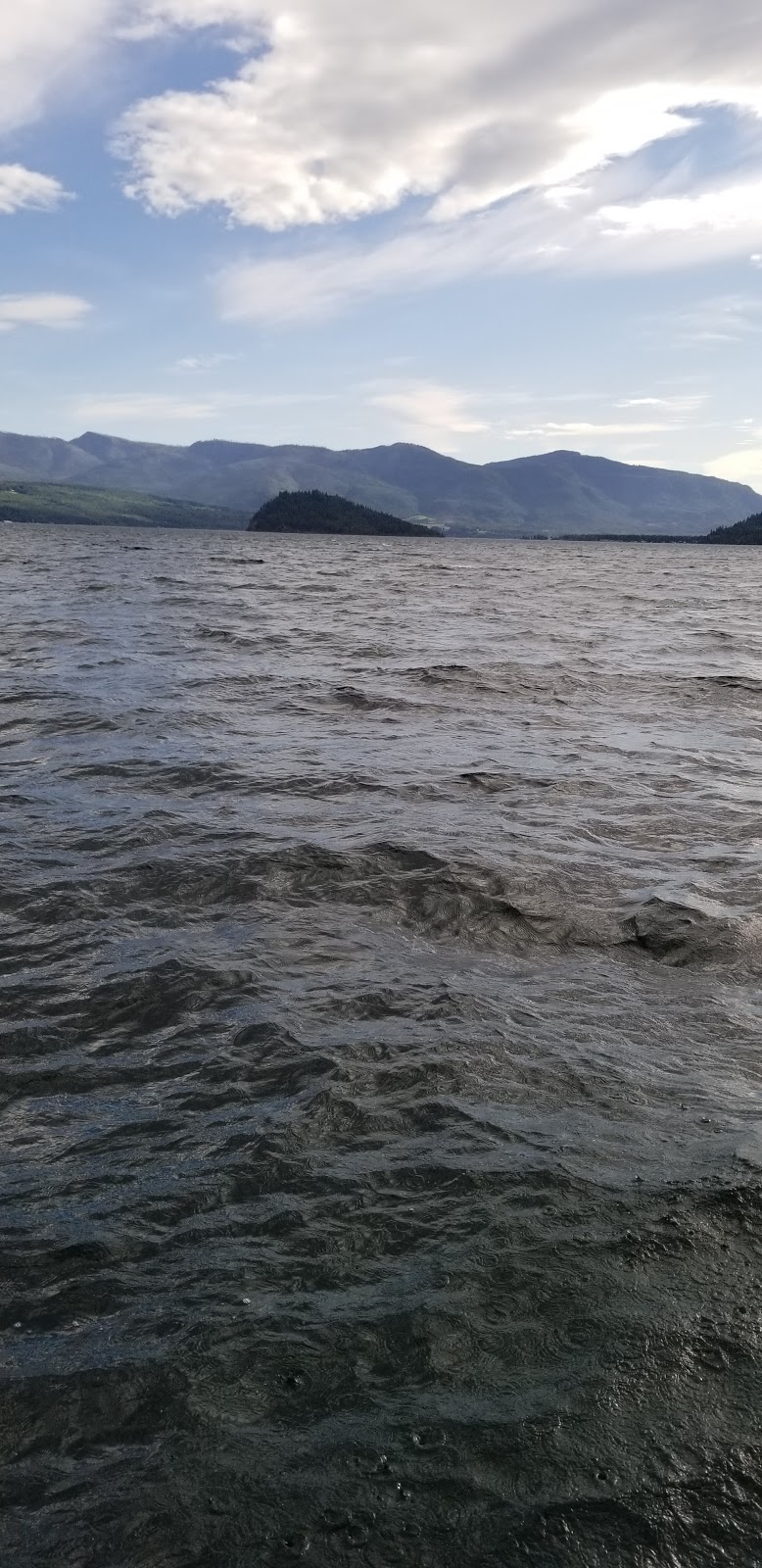 Shuswap Cabins | 5161 Squilax-Anglemont Rd, Celista, BC V0E 1M6, Canada | Phone: (250) 851-6833