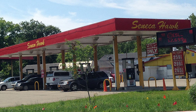 Seneca Hawk | 11979 Southwestern Blvd, Irving, NY 14081, USA | Phone: (716) 934-4219