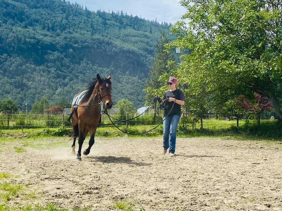 Cassidy Floris Horsemanship | 38606 Old Yale Rd, Abbotsford, BC V3G 1X5, Canada | Phone: (604) 832-3681