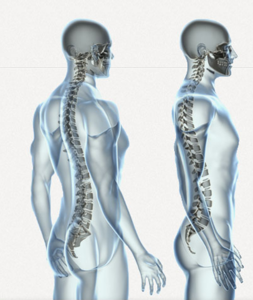 Albion Hills Chiropractic And Massage | 33 D King St W, Bolton, ON L7E 1C7, Canada | Phone: (905) 857-8507