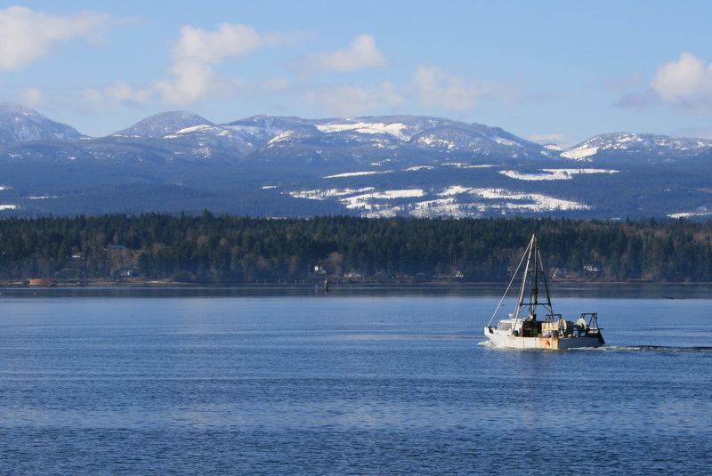 Eagle Rock Bed and Breakfast | 10150 Island View Close, Chemainus, BC V0R 1K2, Canada | Phone: (855) 333-0555