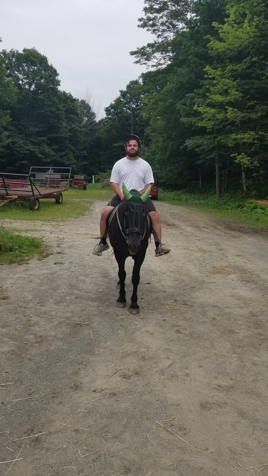 Center Riding Jacques Robidas | 32 Chemin McFarland, Hatley, QC J0B 2C0, Canada | Phone: (819) 563-0166
