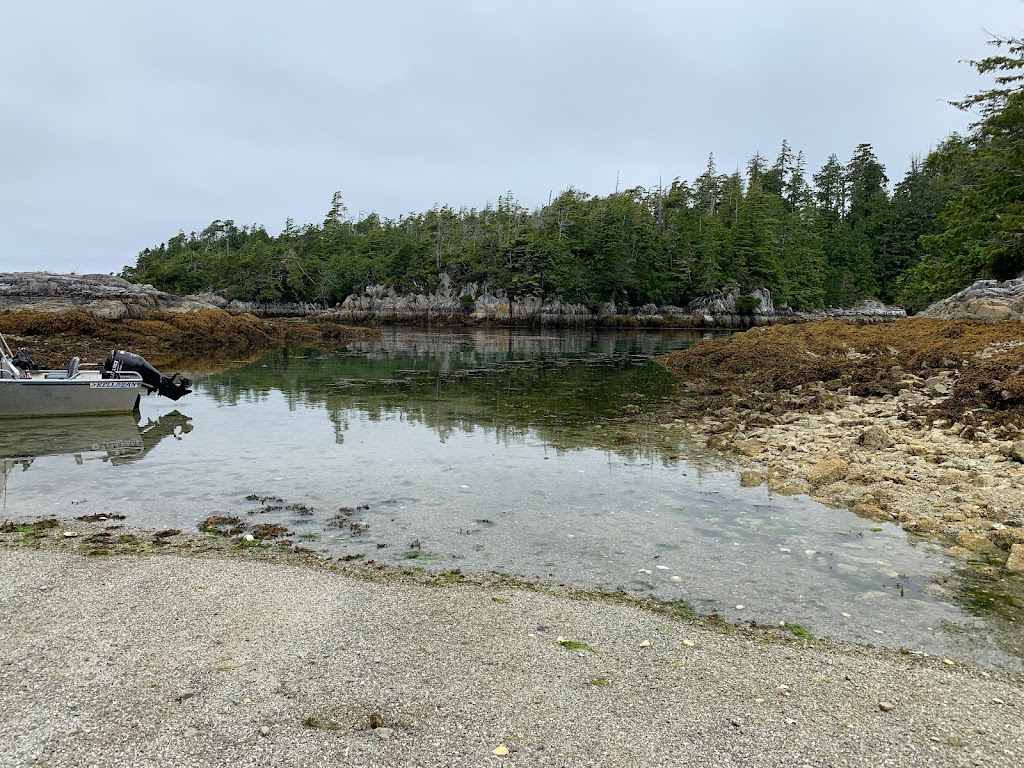 Pacific Gateway Wilderness Lodge | 8 Michelsens Ln, Bamfield, BC V0R 1B0, Canada | Phone: (250) 728-3646