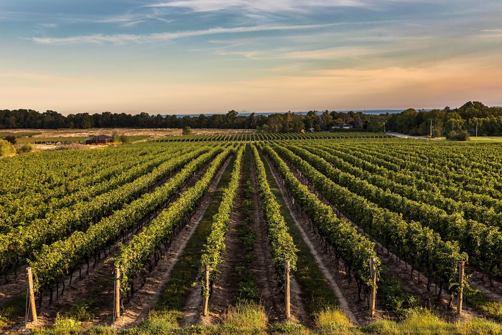 Wine Country Ontario | 4890 Victoria Ave N, Vineland Station, ON L0R 2E0, Canada | Phone: (905) 562-8070