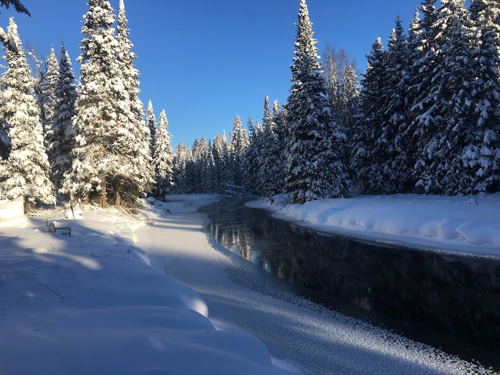 Creekside Getaway | 374 Stirling Falls Rd, Burks Falls, ON P0A 1C0, Canada | Phone: (416) 892-5241