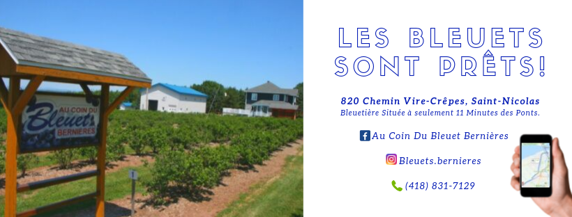 Au coin du Bleuet - Bernières | 820 Chemin Vire-Crêpes, Saint-Nicolas, QC G7A 1Z8, Canada | Phone: (418) 831-7129