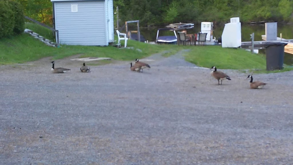 Camping Municipal et Marina St-Roch-de-Mékinac | 501 Ducharme, Saint-Roch-de-Mékinac, QC G0X 2E0, Canada | Phone: (819) 646-5500
