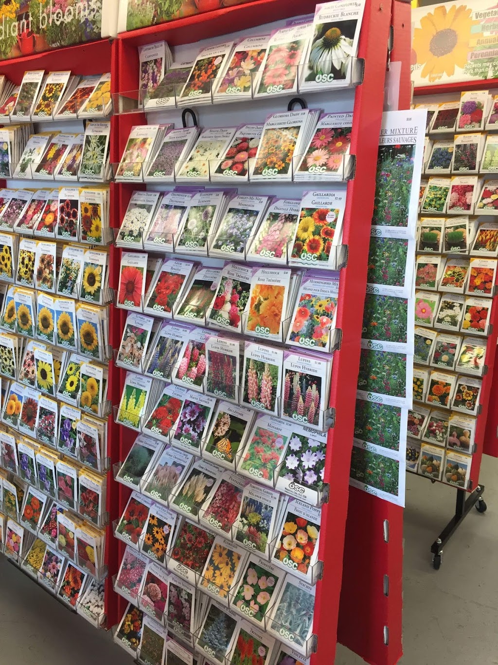 Lakeland Plant World | 909 Main St, Dartmouth, NS B2W 3V2, Canada | Phone: (902) 435-1983