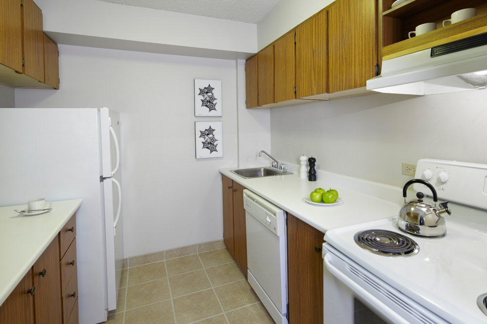 Spell | 745 Rue McGregor #201, Sherbrooke, QC J1L 1P4, Canada | Phone: (866) 877-3558