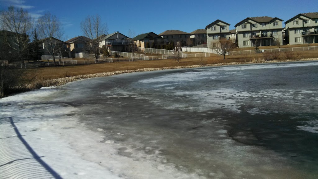 Oxford Lake | 12974 160a Ave NW, Edmonton, AB T6V 1R3, Canada