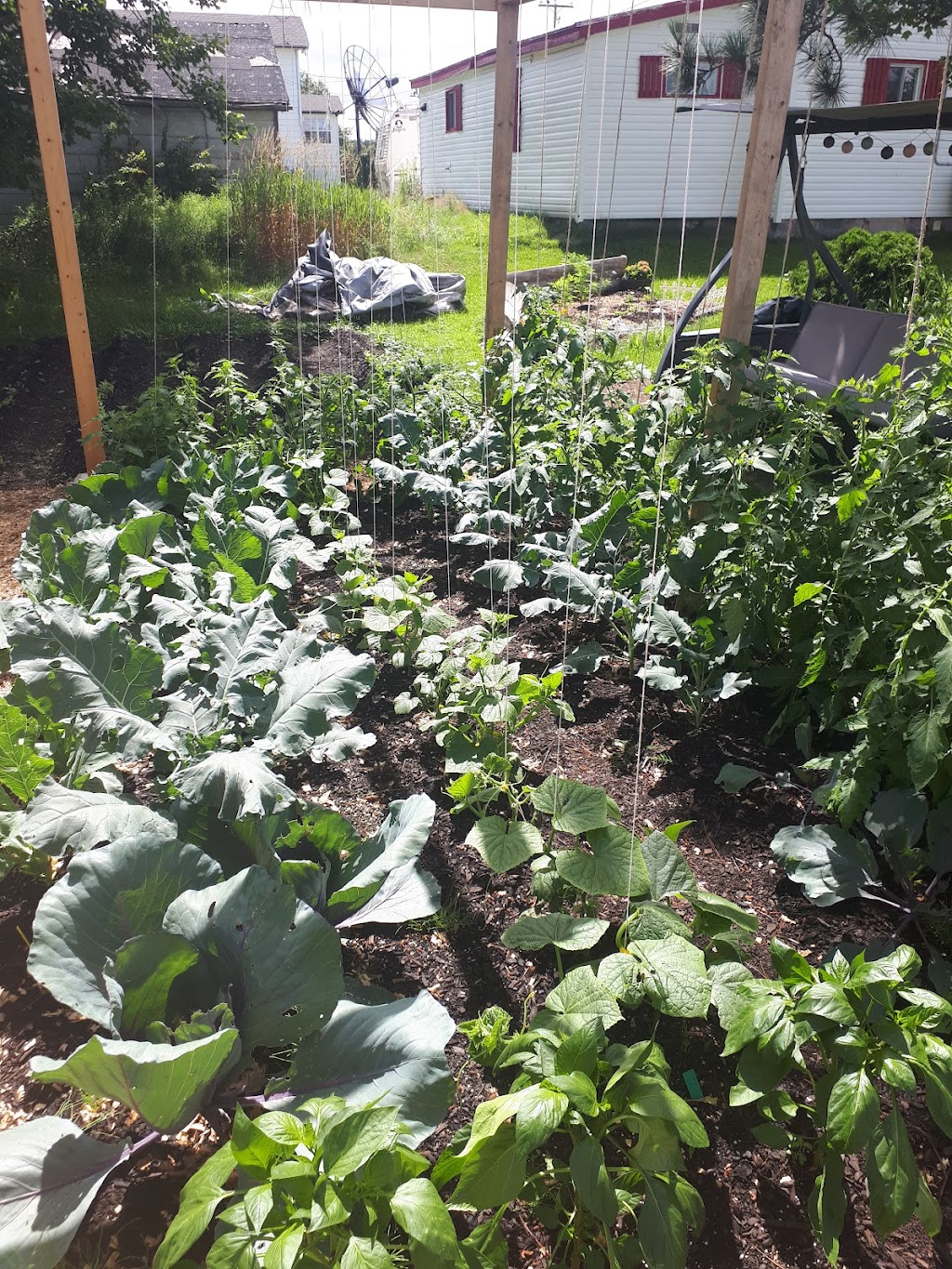 Dannys Country Market | 7071 NB-126, Adamsville, NB E4T 2C7, Canada | Phone: (506) 227-1099