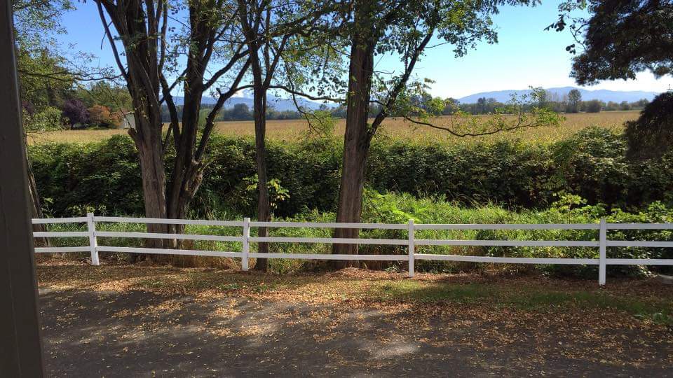 Windmill Inn Lynden | 8022 WA-539, Lynden, WA 98264, USA | Phone: (360) 354-3424