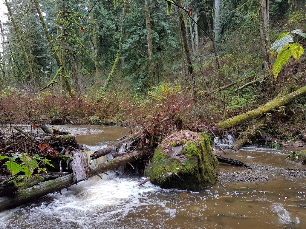 Arroyo Park | 1700 Old Samish Rd, Bellingham, WA 98229, USA | Phone: (360) 778-7000